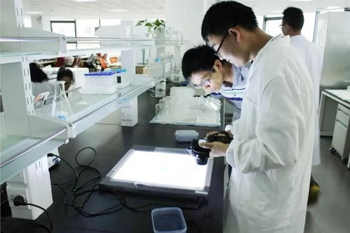 無錫通信技術開發 鑄就未來產業支柱，三分天下有其一