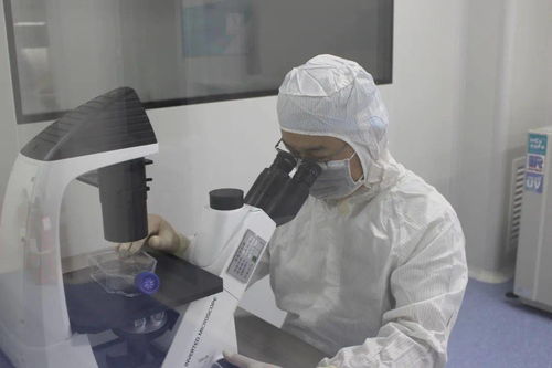 諾未科技 生命科學研究再創新，生物技術研發新突破