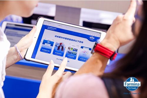 衡水新聞網(wǎng)